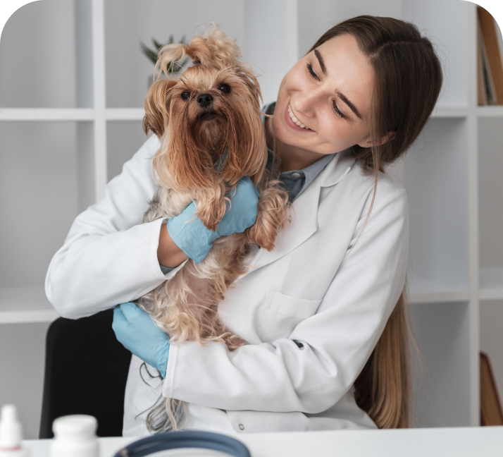 Veterinária cuidando de um cachorro